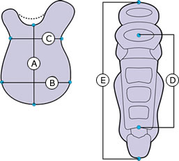 サイズ対応図